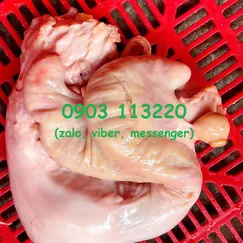 Dồi trường