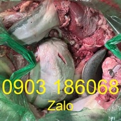 Lưỡi bò