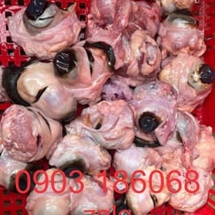 Mắt bò