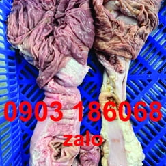 Trái khế bò-tươi