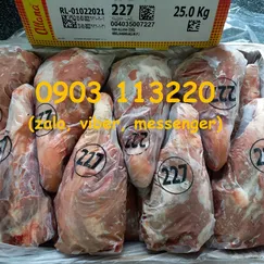 Bắp rùa Ms 227