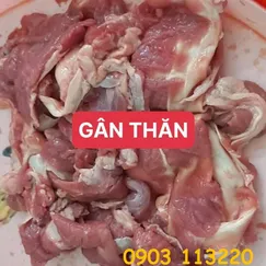 Gân thăn