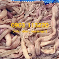 Ruột già sống