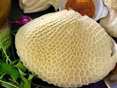 Lá sách bò là gì? Lá sách bò làm món gì ngon?