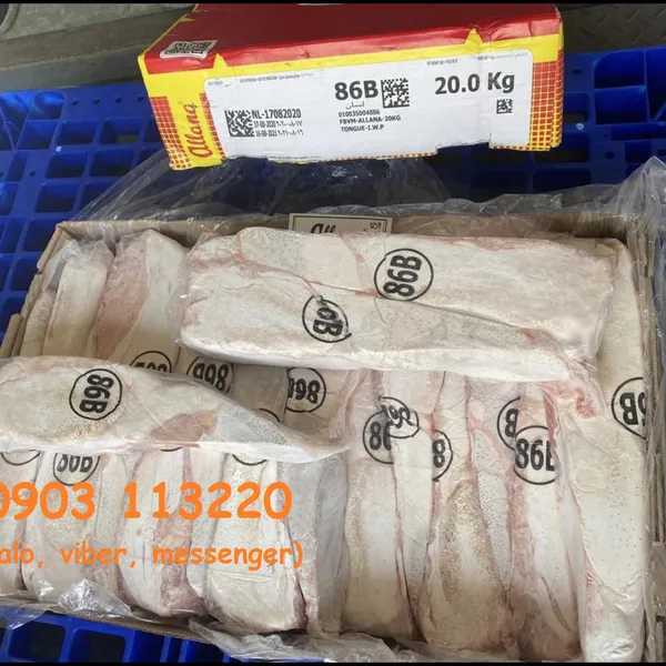 Lưỡi Allana Ms 86B