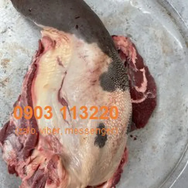 Lưỡi bò