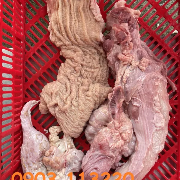 Thú linh bò-tươi