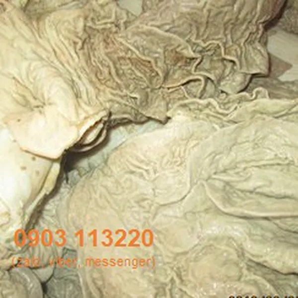 Trái khế bò-luộc