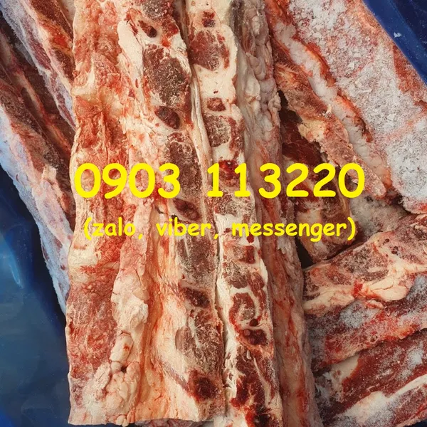 Xương lưng