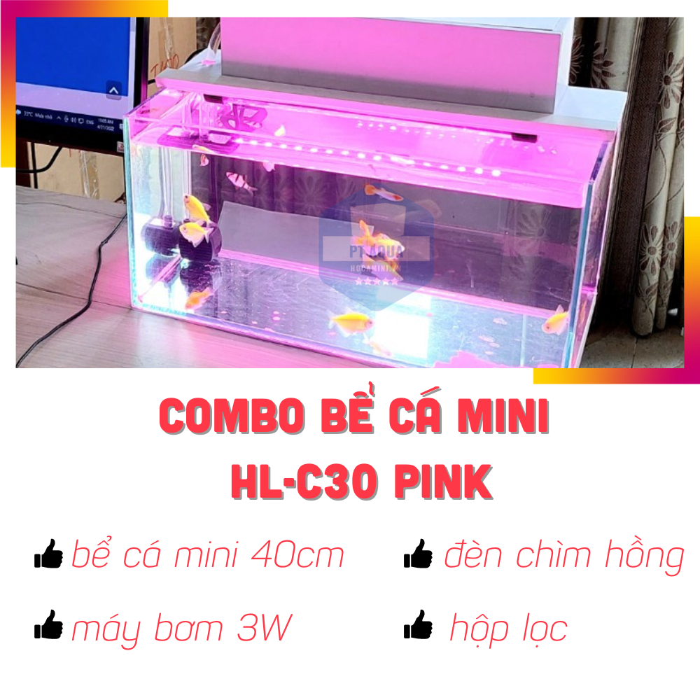 Hồ cá mini 40cm Full COMBO máy bơm hộp lọc đèn hồ cá HL-C30 PINK đẹp mắt, giá tốt
