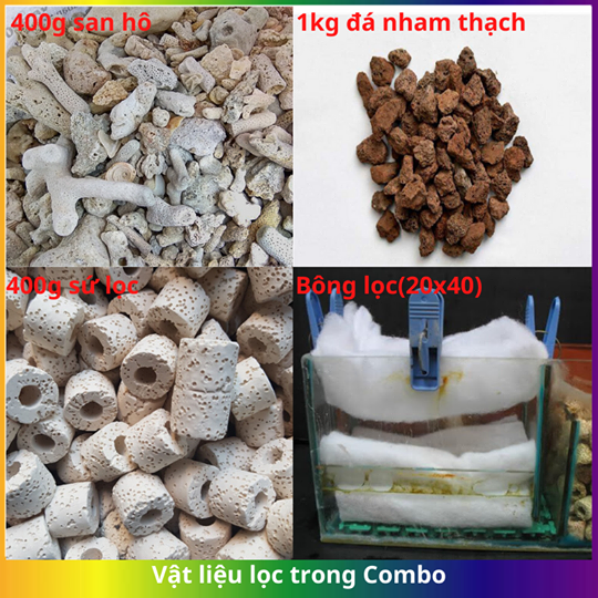 Setup lọc tràn cho hồ cá cảnh