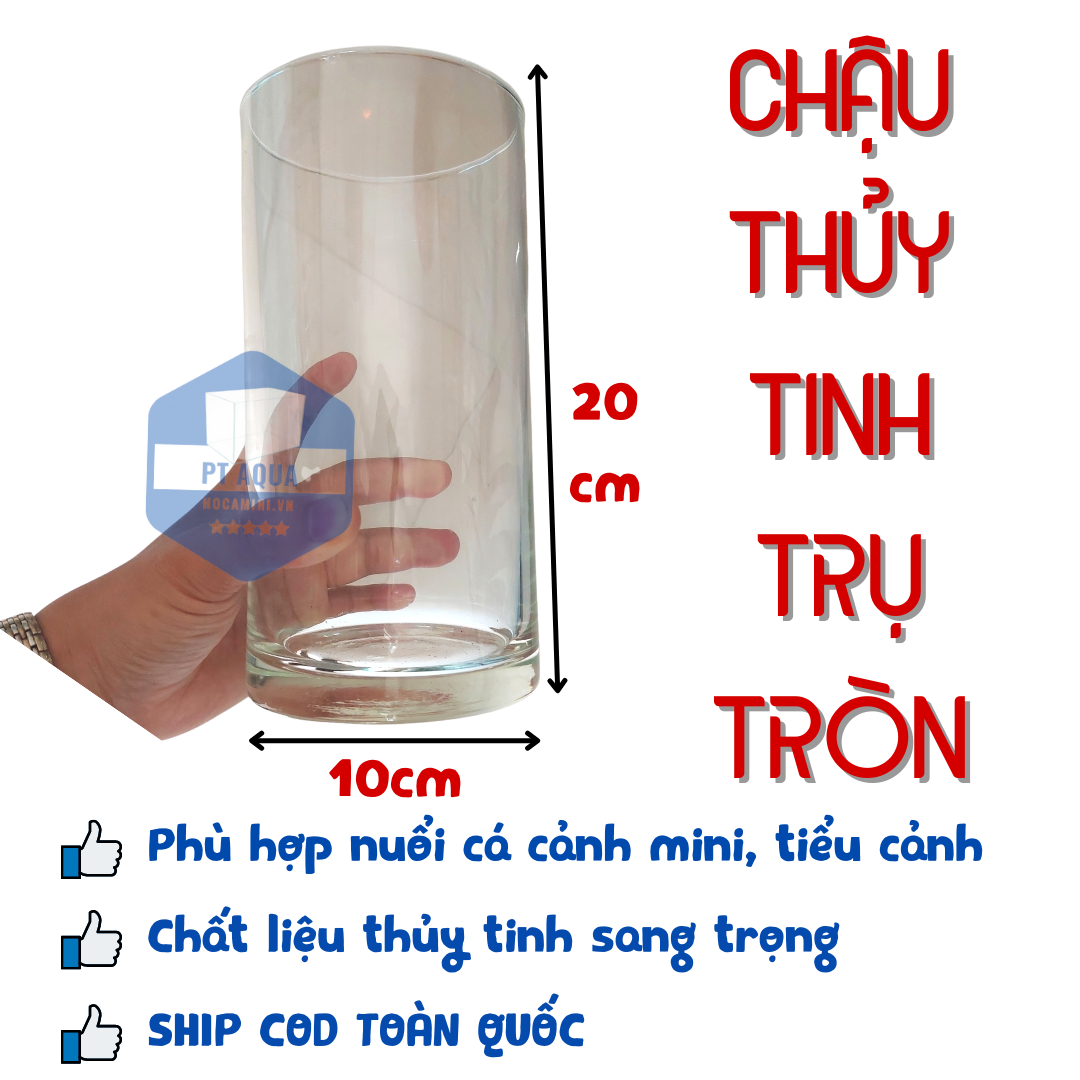 Bể cá mini giá bao nhiêu? Nên mua ở đâu giá rẻ nhất?