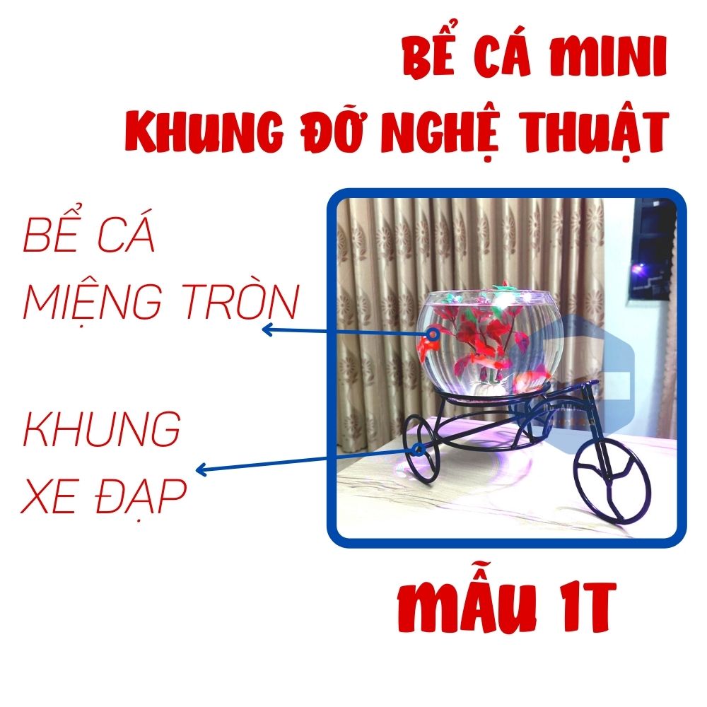 Chiêm ngưỡng những bể cá mini đẹp nhất hiện nay