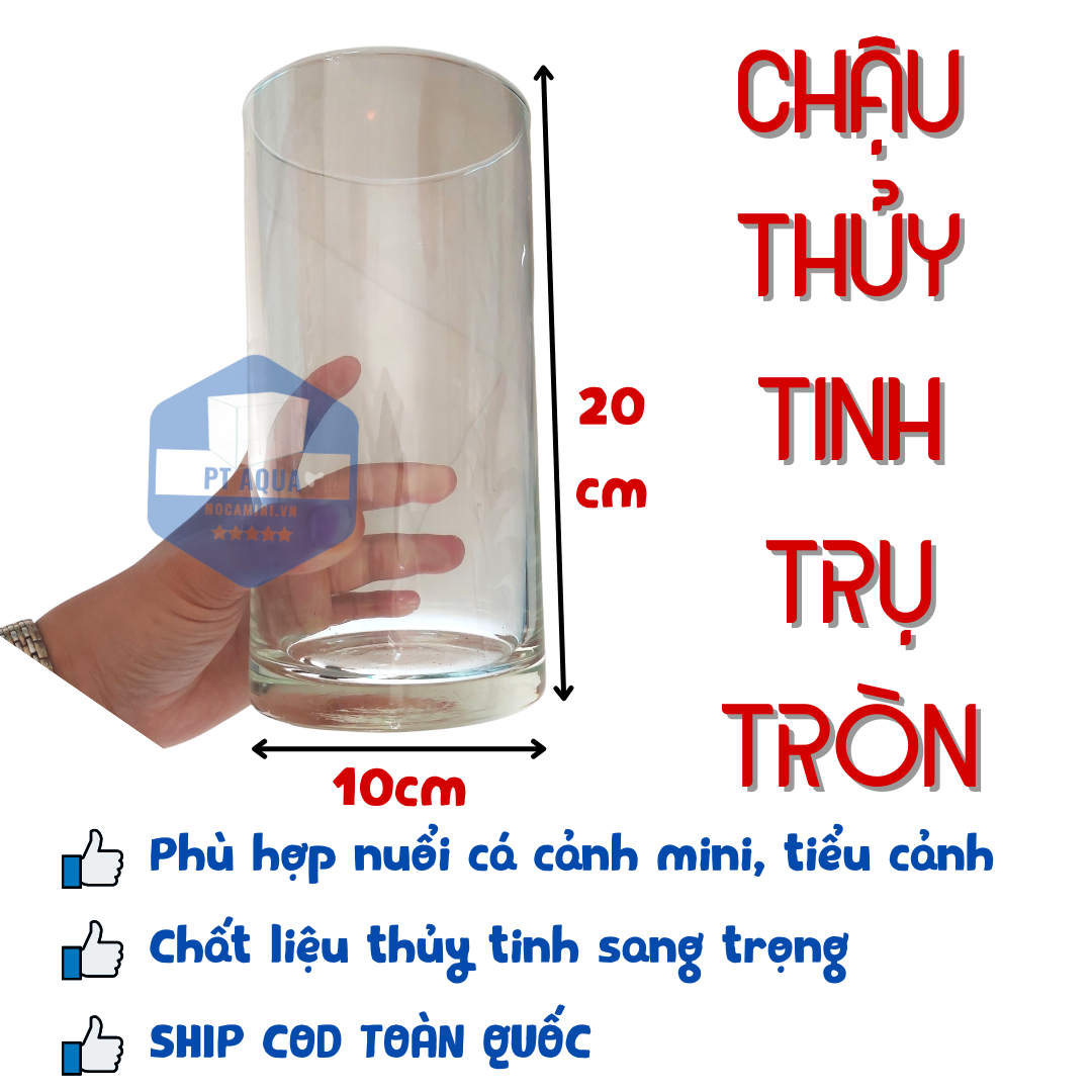 Một hình trụ có bán kính r và chiều cao h  r 3