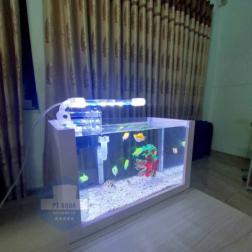 Bể cá mini để bàn FULL COMBO GEBO - D10 đầy đủ hồ lọc đèn + KHUNG