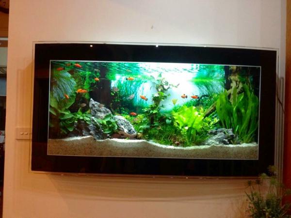 Bao lâu mới nên thay nước hồ cá