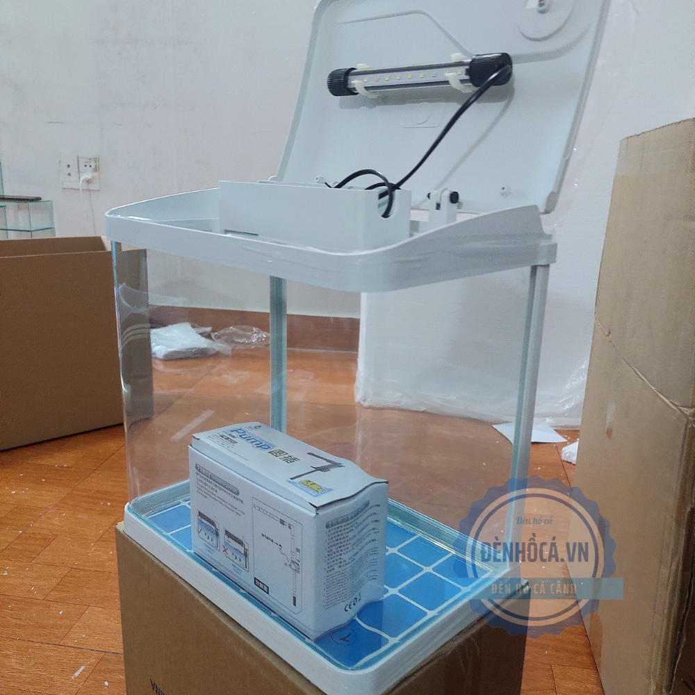 Lời khuyên hữu ích khi mua bể cá cảnh mini