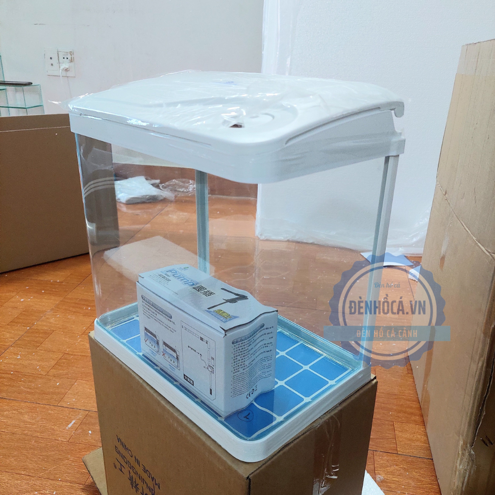 Lời khuyên hữu ích khi mua bể cá cảnh mini