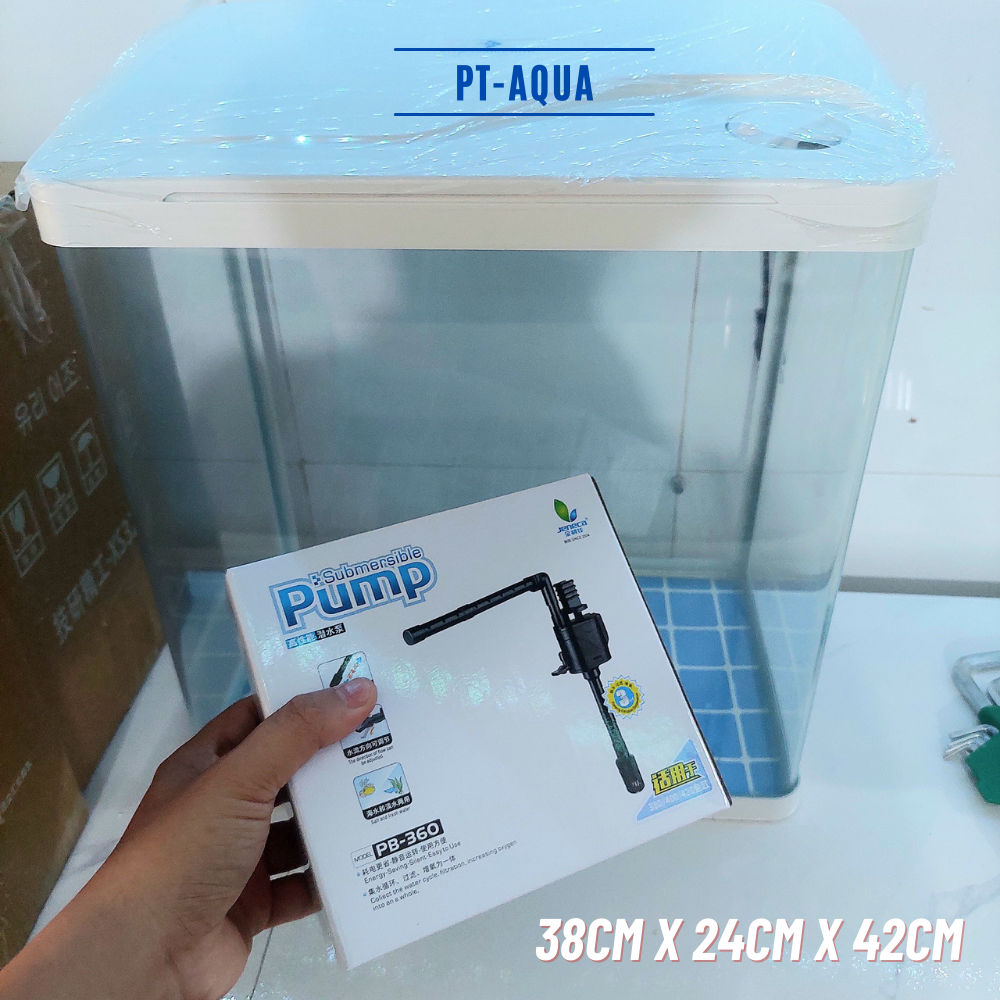 Nơi bán bể cá cảnh mini giá rẻ tại tphcm