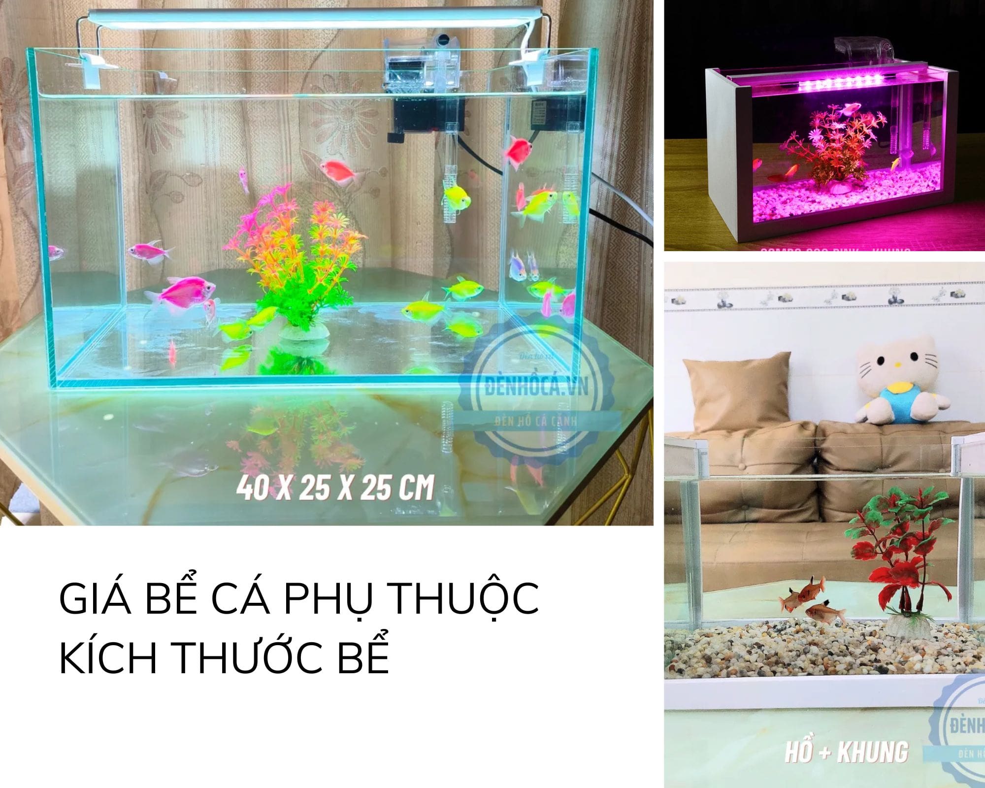 Kinh nghiệm mua bể cá mini