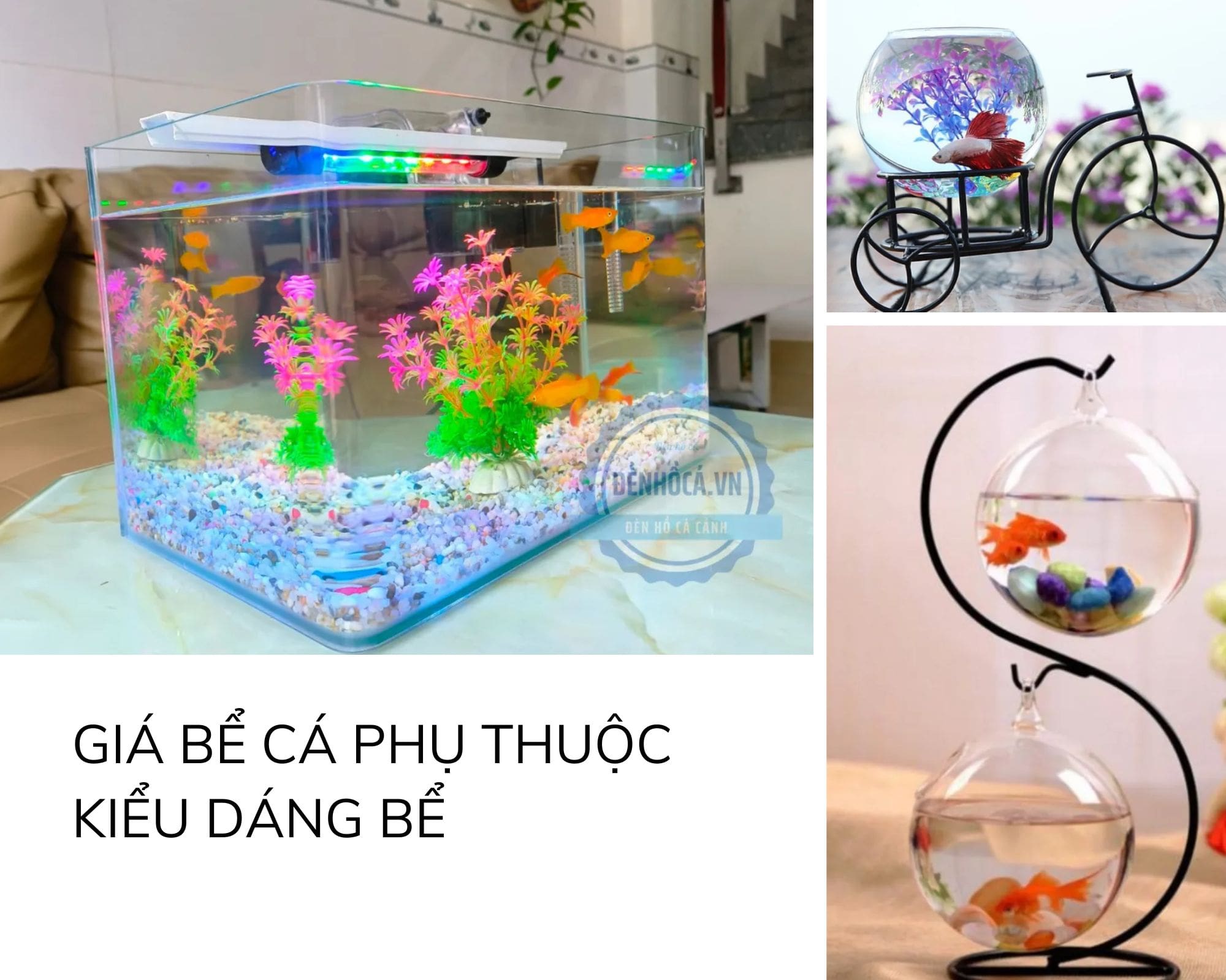 Kinh nghiệm mua bể cá mini