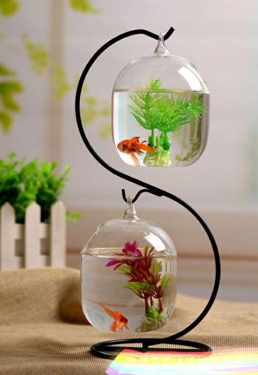 Mẫu bể cá mini chữ S đẹp