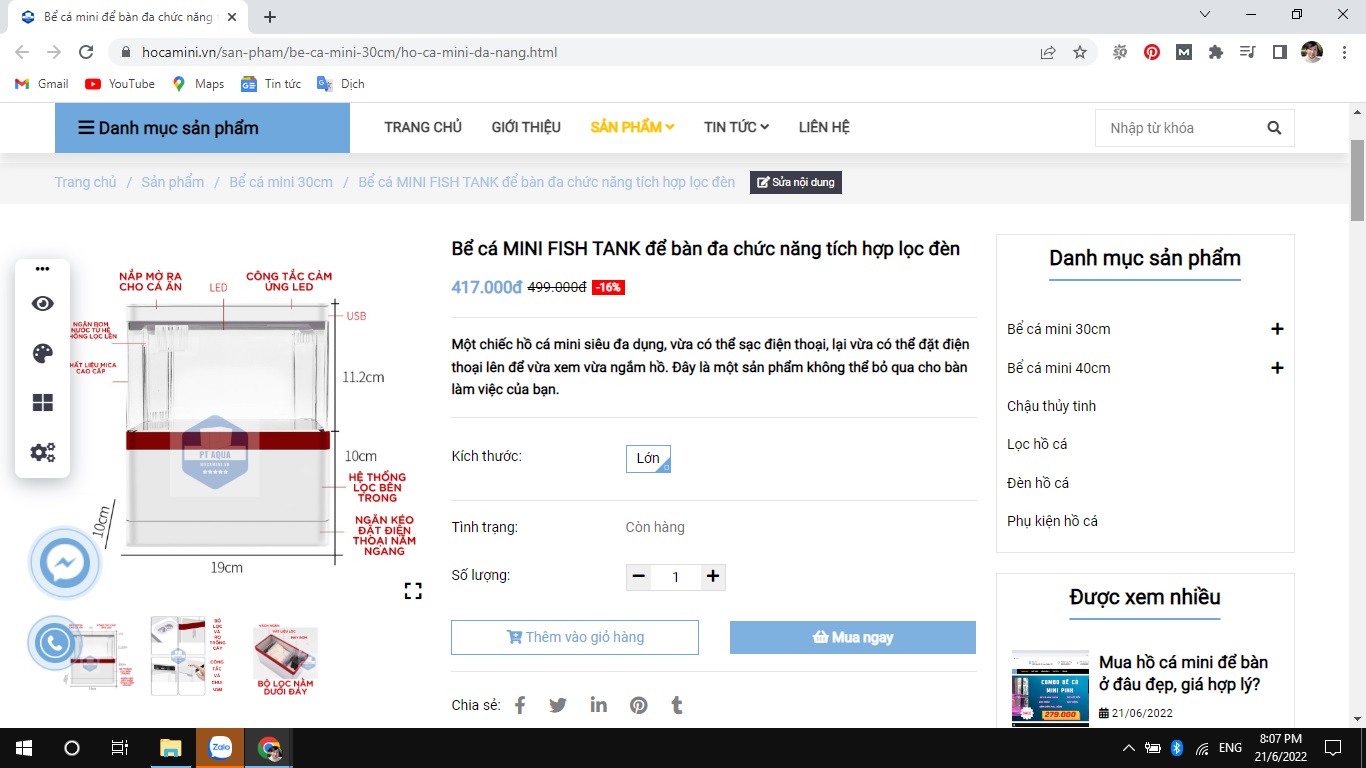 Nơi bán hồ cá mini để bàn rẻ nhất