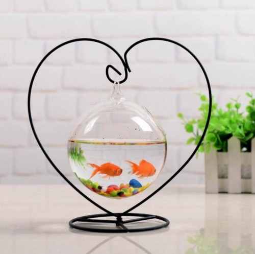 Mua bể cá cảnh mini giá rẻ ở đâu