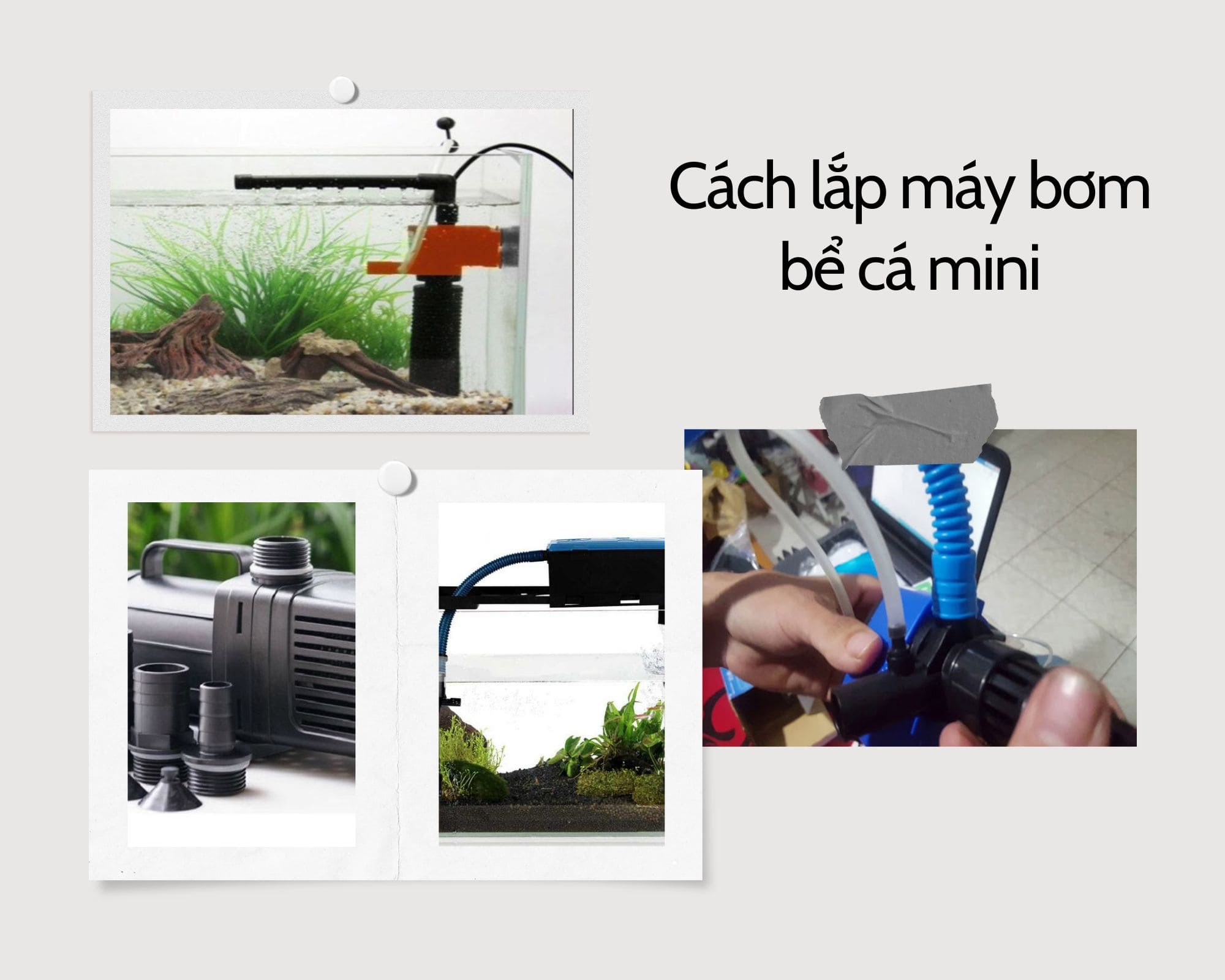 Cách lắp máy bơm bể cá mini