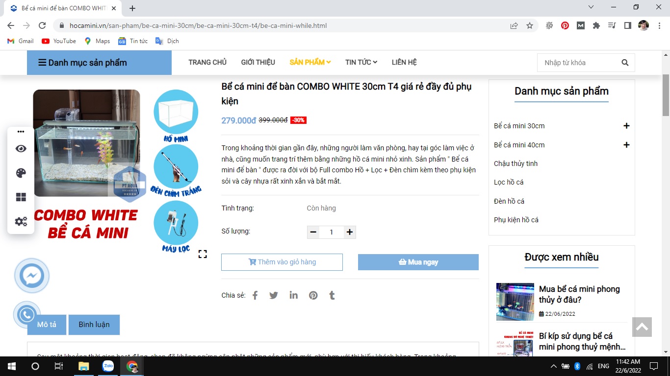 Mua bể cá mini ở đâu hà nội