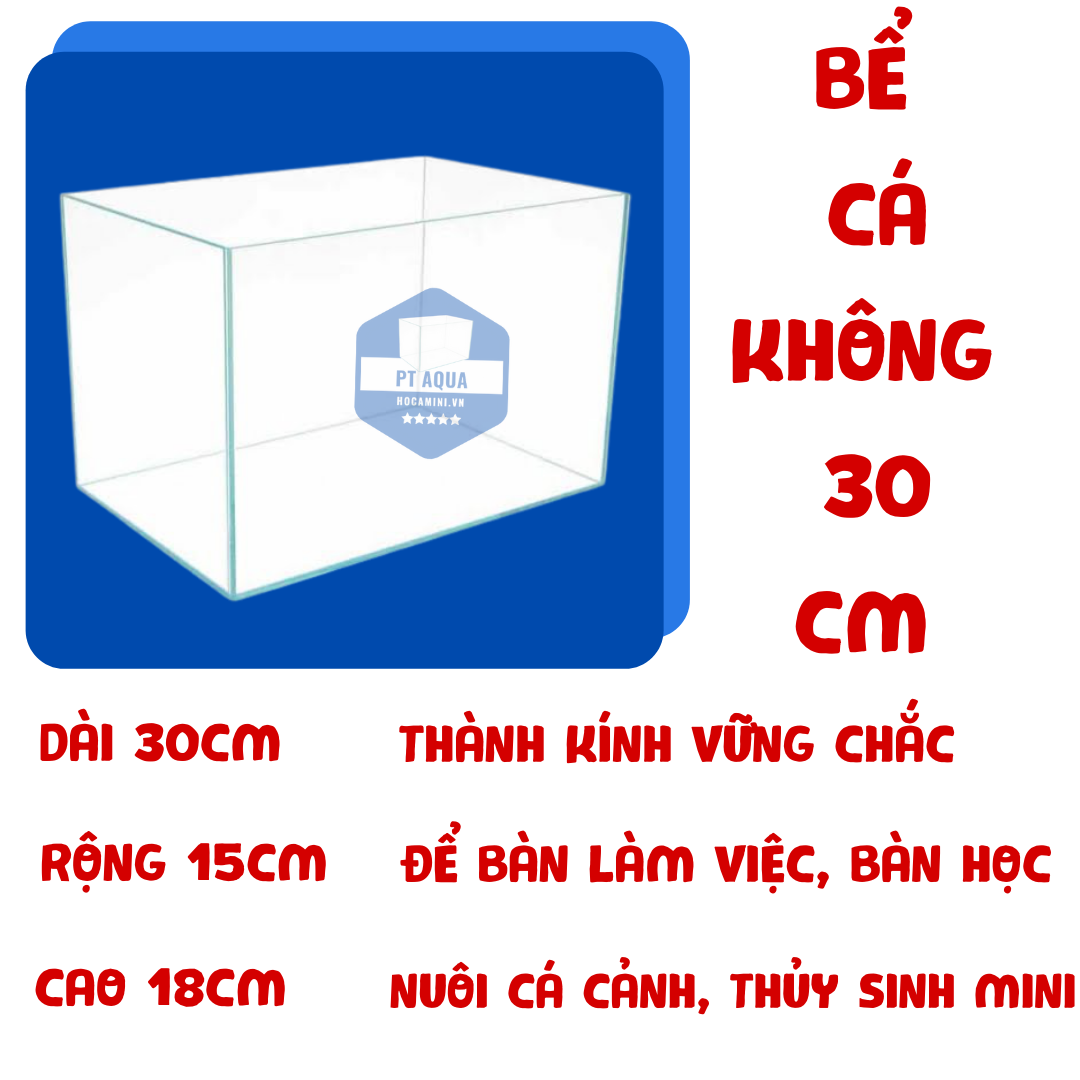 Bể kính cá cảnh mini 30cm đẹp, bền, rẻ