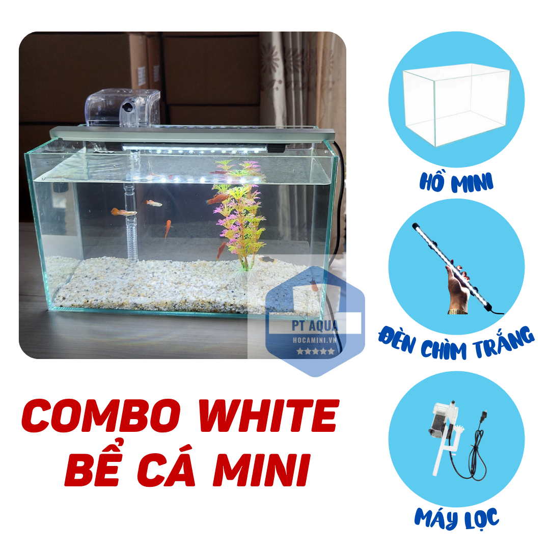 Nơi bán bể cá mini 30cm giá rẻ đẹp