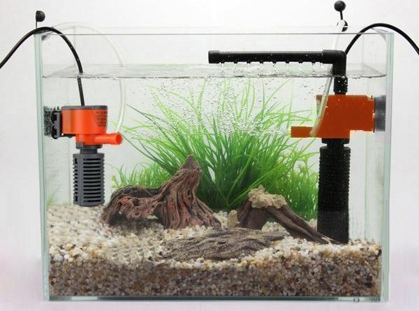 Giải đáp: Máy lọc nước hồ cá mini có tốn điện không?