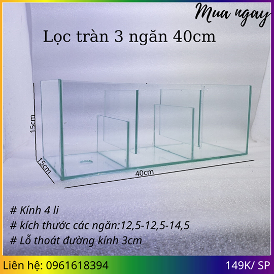 Setup lọc tràn cho hồ cá cảnh