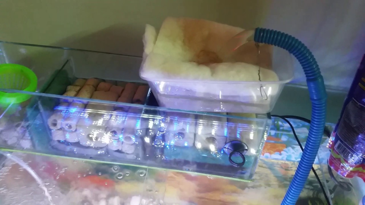 Setup lọc tràn cho hồ cá cảnh
