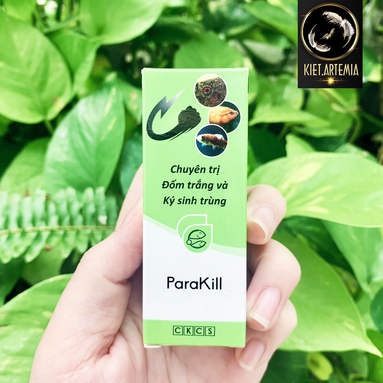 Dưỡng cá Parakill trị nấm, vi khuẩn và ký sinh trùng gây ra giúp cá ...