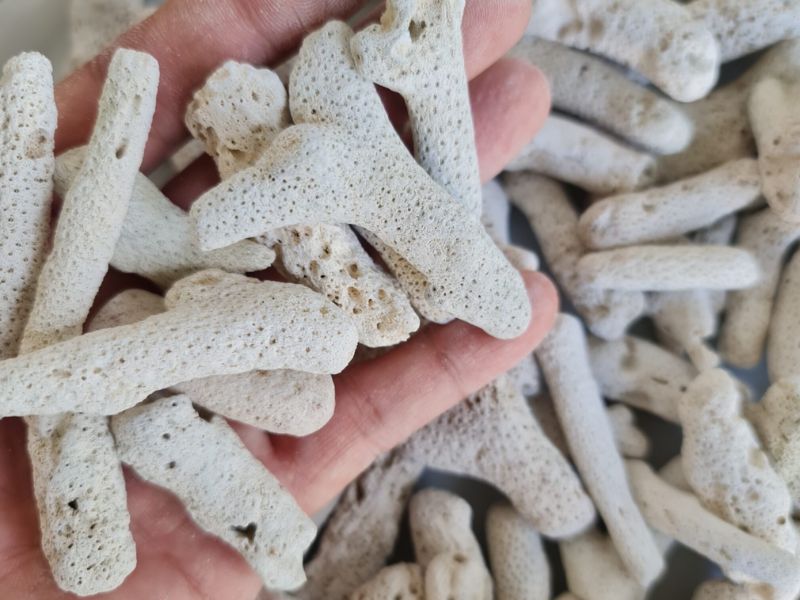 Lọc nước hồ cá gồm những gì