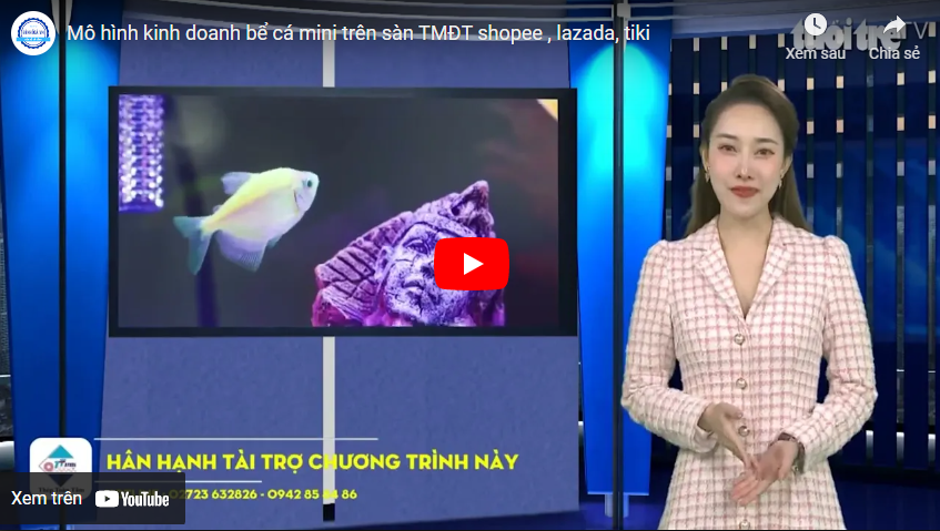 Tìm website đặt mua online bể cá mini Bắc Ninh
