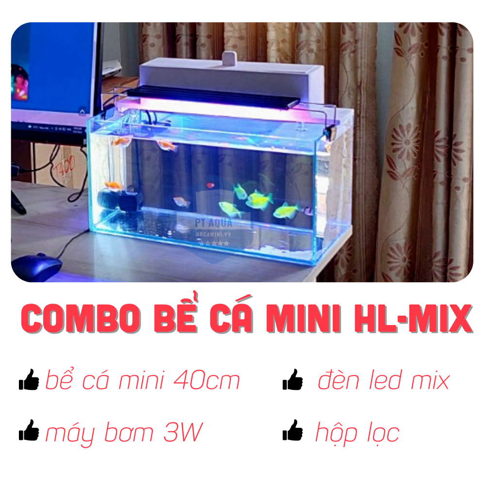 Bể cá mini 40cm Full COMBO máy bơm hộp lọc đèn hồ cá HL-MIX