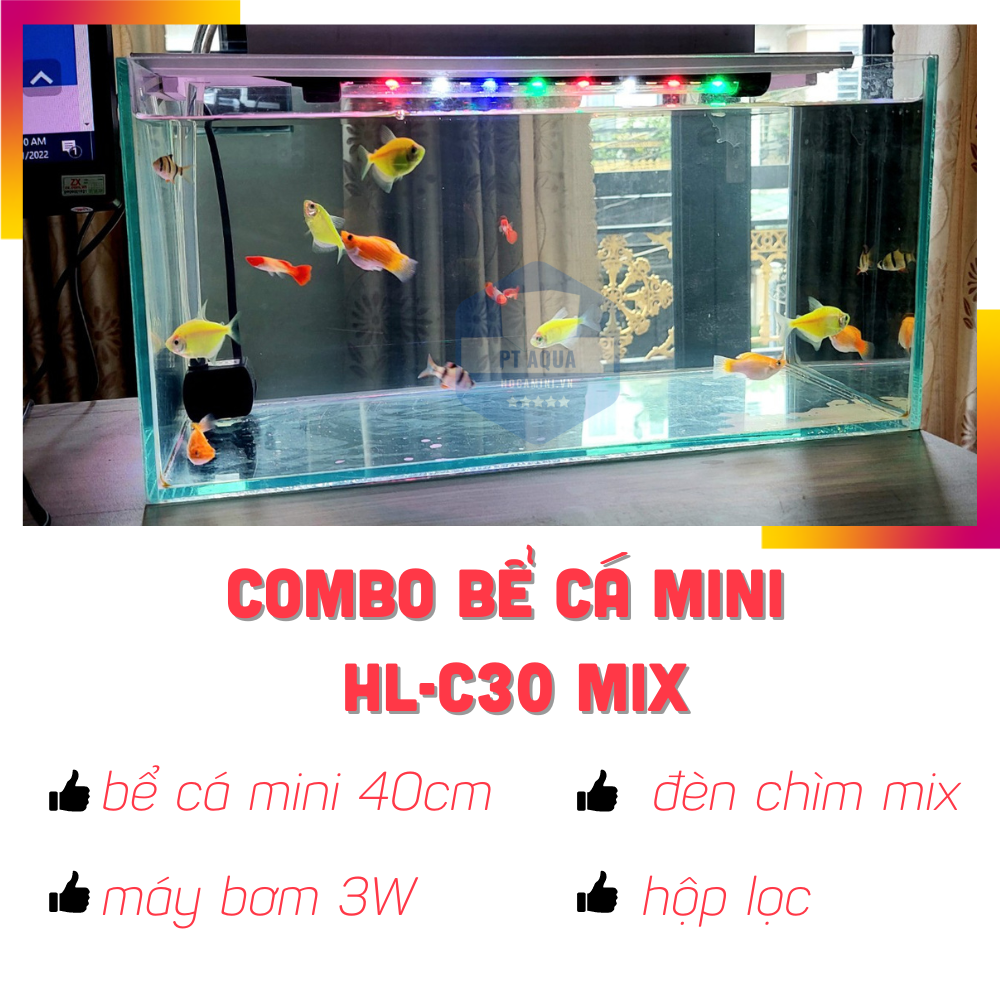 Hồ cá mini 40cm Full COMBO máy bơm hộp lọc đèn hồ cá HL-C30 MIX đẹp mắt, giá tốt