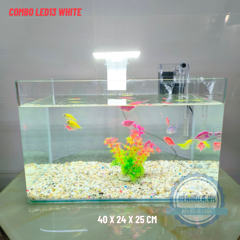 Bể cá mini Đúc uốn cong 40x24x25cm COMBO LED13 WHITE để bàn