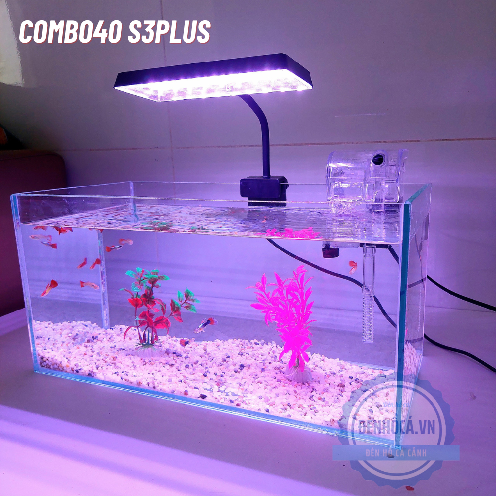 Bể cá mini 40cm COMBO S3PLUS kèm phụ kiện đầy đủ