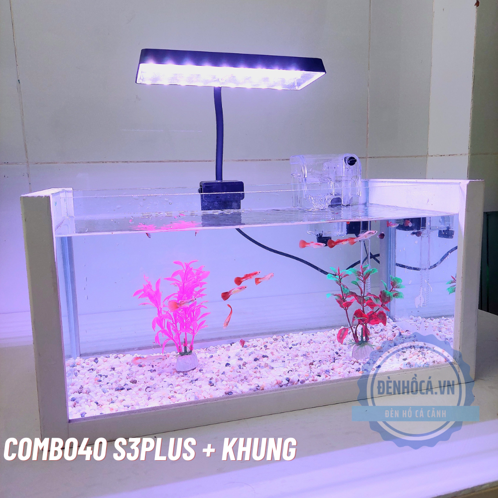 Bể cá mini 40cm COMBO S3PLUS có KHUNG kèm phụ kiện đầy đủ