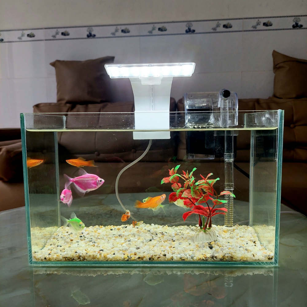Bể cá mini để bàn LED13 WHITE đầy đủ phụ kiện
