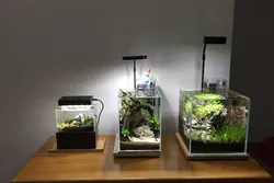 Nơi mua sắm bể cá mini giá rất rẻ TP HCM đảm bảo uy tín, hàng chính hãng