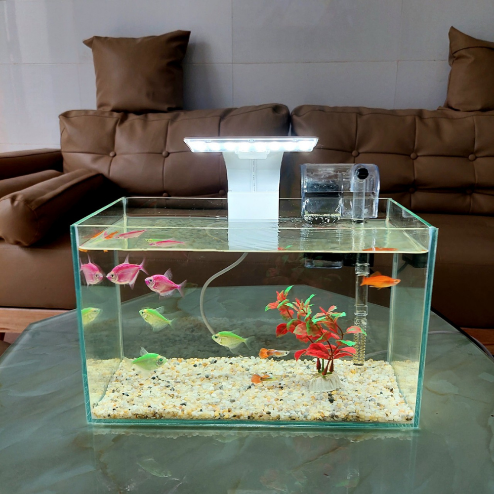 Bể cá mini để bàn LED13 WHITE đầy đủ phụ kiện