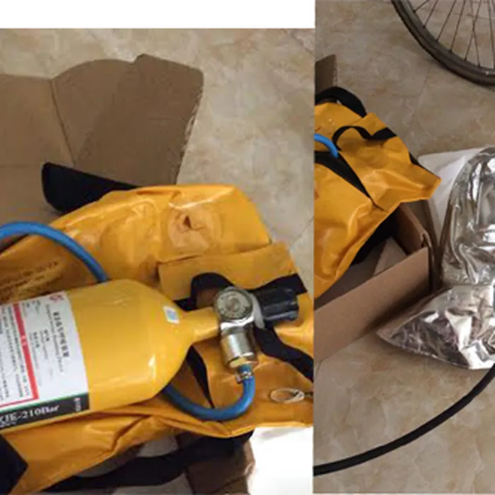 Bình dưỡng khí (bình carbon) RHZK6.8/30