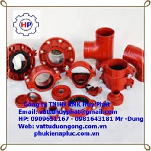 Bầu giảm nối rãnh coupling 100tong Bầu giảm nối rãnh coupling 100tong