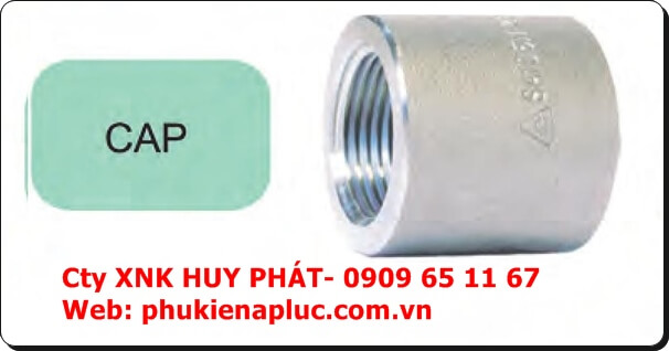 NÚT BỊT REN (NPT) TRONG ÁP LỰC THÉP A105 DN15 NÚT BỊT REN (NPT) TRONG ÁP LỰC THÉP A105 DN15