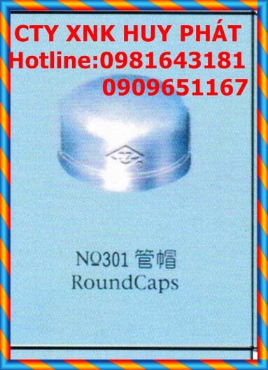 Nắp bit ren mạ kẽm DZ Nắp bit ren mạ kẽm DZ